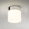 1292001 Sabina Ceiling Light